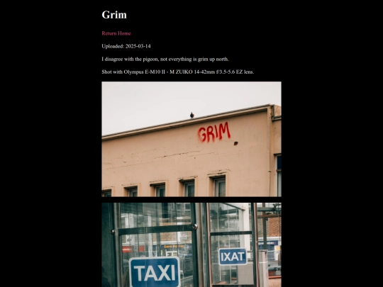 grim screenshot