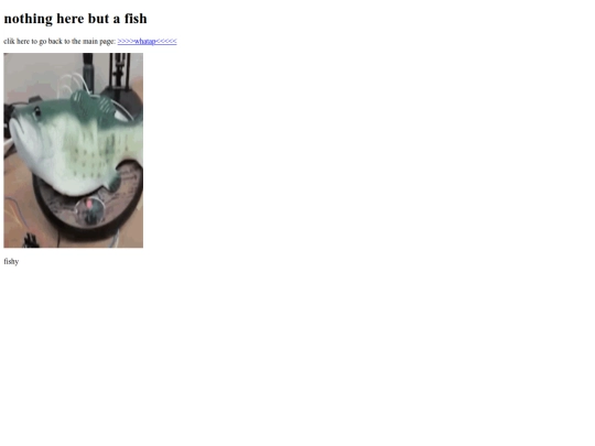 BACKUPSCRAY screenshot