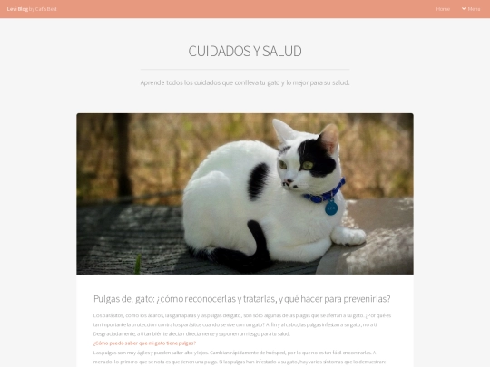 cuidados screenshot