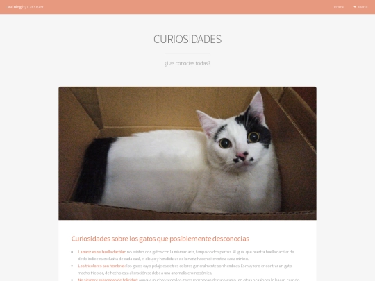 curiosidades screenshot