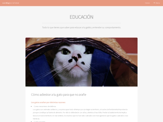 educacion screenshot