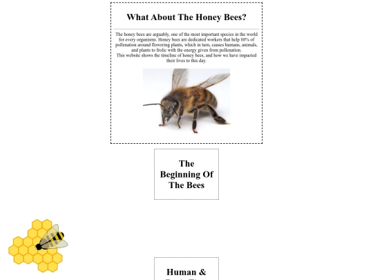 entries screenshot