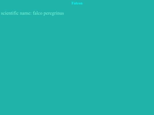 assignment10 screenshot