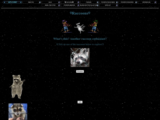 Raccoons TEST screenshot