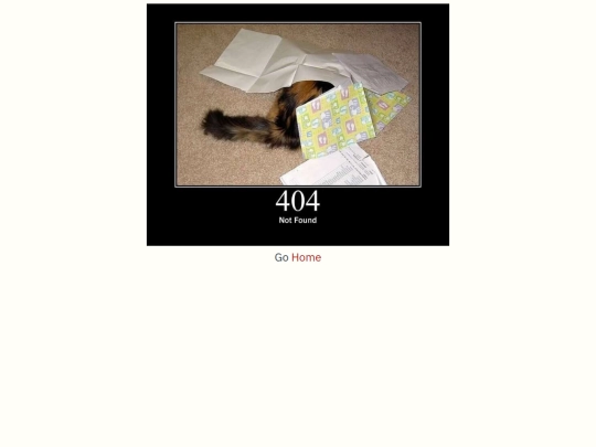 404 screenshot