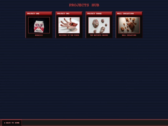 Projects screenshot