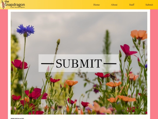 submit screenshot