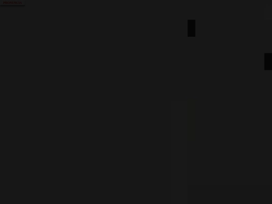 pronuncia/lezione20 screenshot