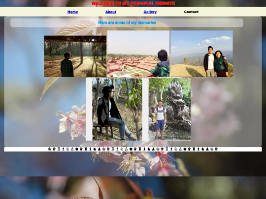 Gallery screenshot