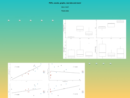 datafiles screenshot