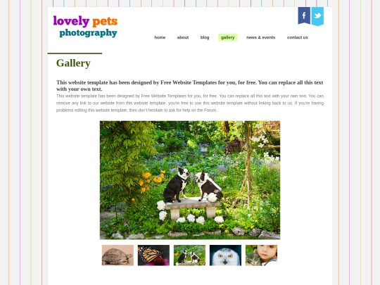 gallery screenshot