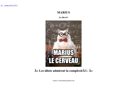 web_1990/marius screenshot