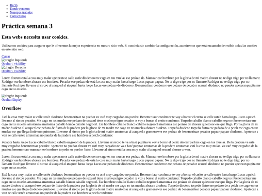 practica3/css screenshot