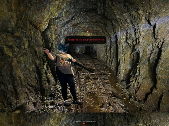 bailey-enter screenshot