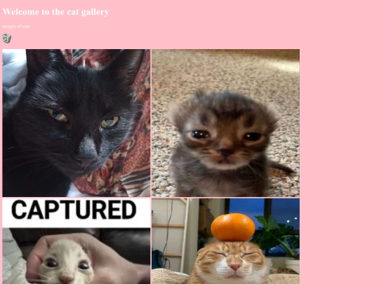 catgallery screenshot