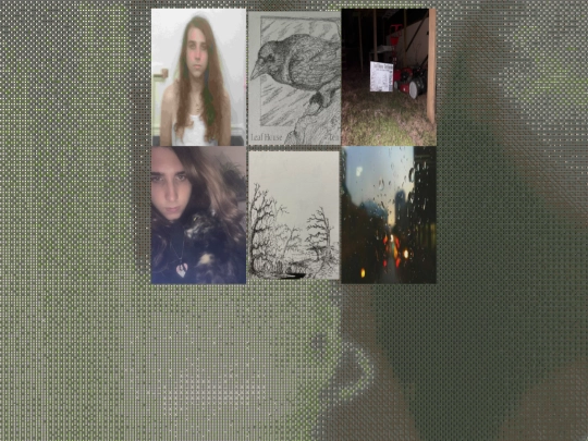photos screenshot