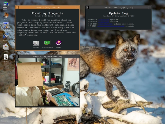 project screenshot