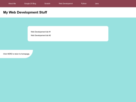 webDev screenshot