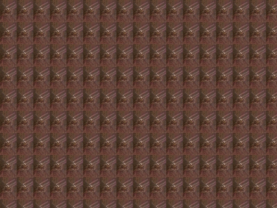 bumhole screenshot