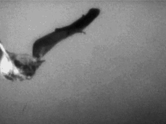 batman screenshot