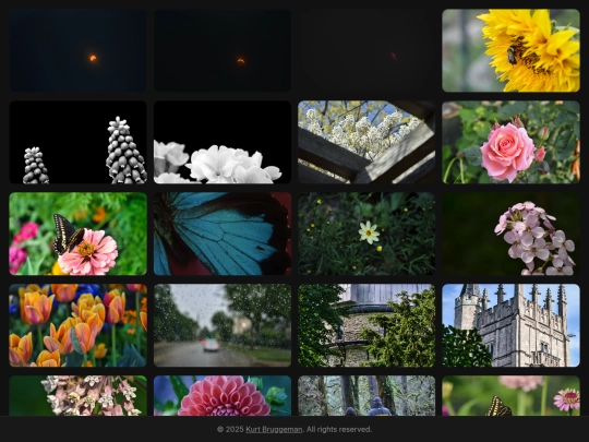 portfolio screenshot