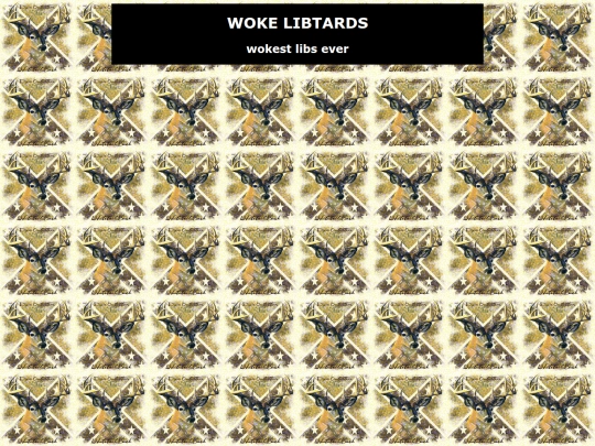 wokelibtards screenshot