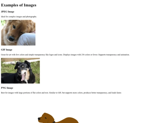 images-example/images-example screenshot