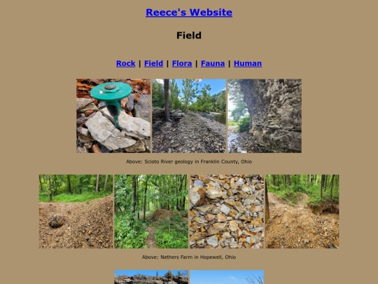 field screenshot