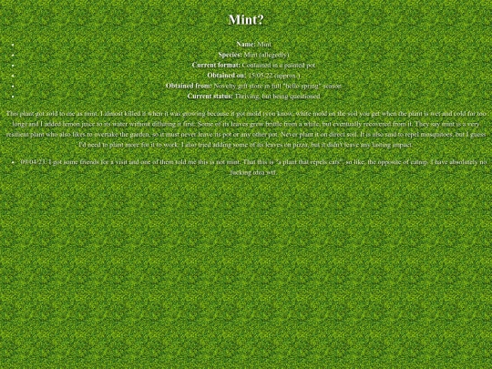 garden/mint screenshot