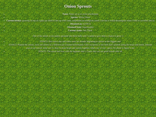 garden/onions screenshot