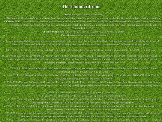 garden/thunderdome screenshot