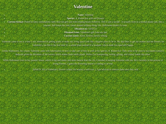 garden/valentine screenshot