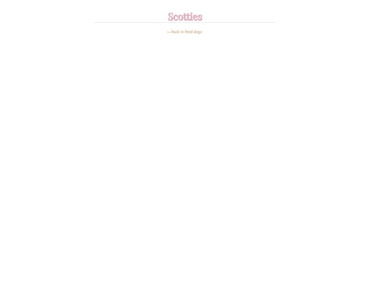 crew/breddogz/scotties screenshot