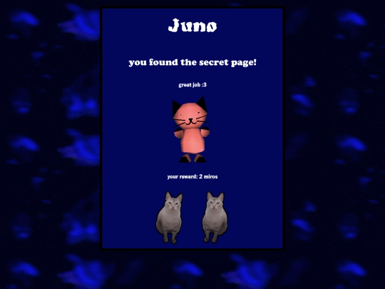 secret screenshot