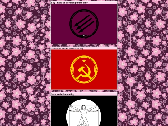 flags screenshot