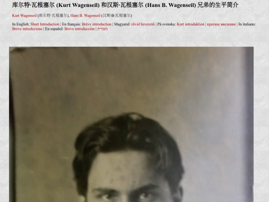 zhongwen screenshot