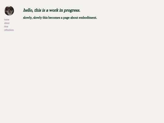 embodiment screenshot