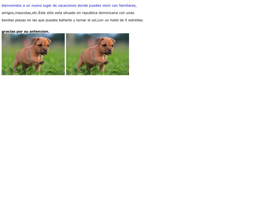 ejercicio6 screenshot