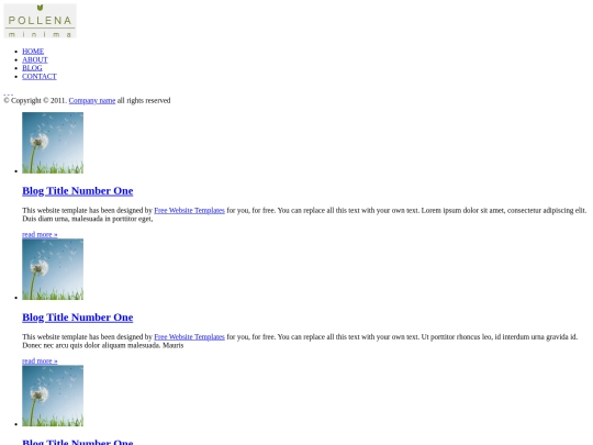 blog screenshot