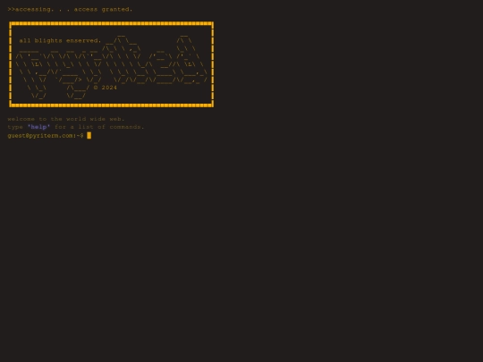 term screenshot