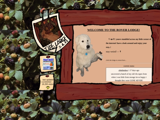 page screenshot