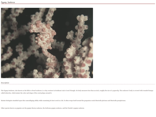 Seahorse7 screenshot