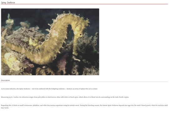 Seahorse9 screenshot