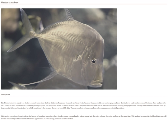 fish15 screenshot