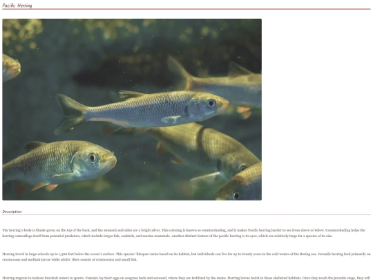 fish16 screenshot