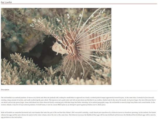 fish17 screenshot