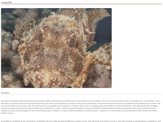 fish18 screenshot