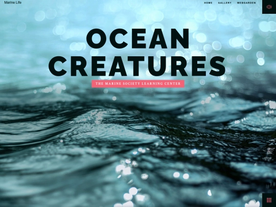 ocean screenshot