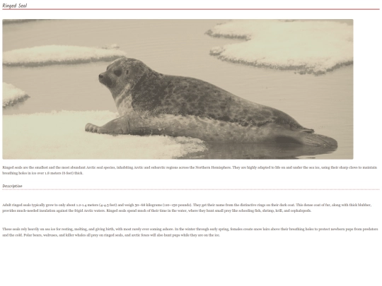 seal8 screenshot