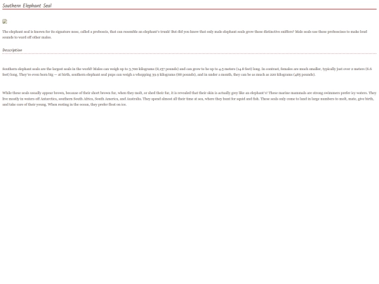 seal9 screenshot